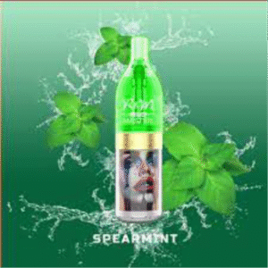 R&M BOLD SPEARMINT 10K DISP